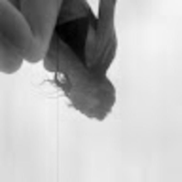 blackcherrycake